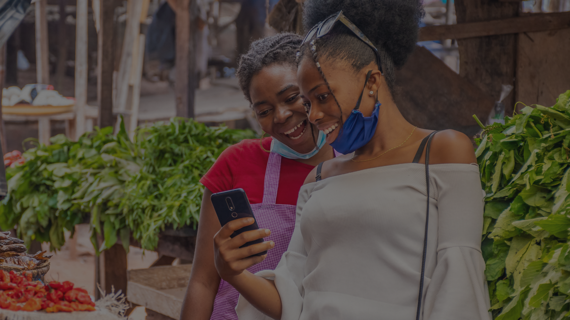 À propos SenRecolte